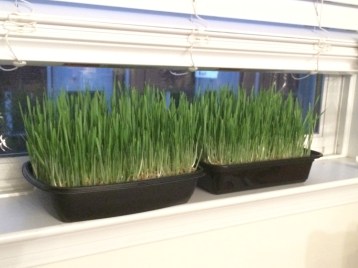 photo-nov-09-5-18-35-pm