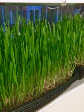 photo-nov-09-5-18-51-pm