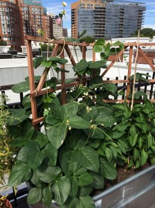 photo-sep-11-11-03-31-am